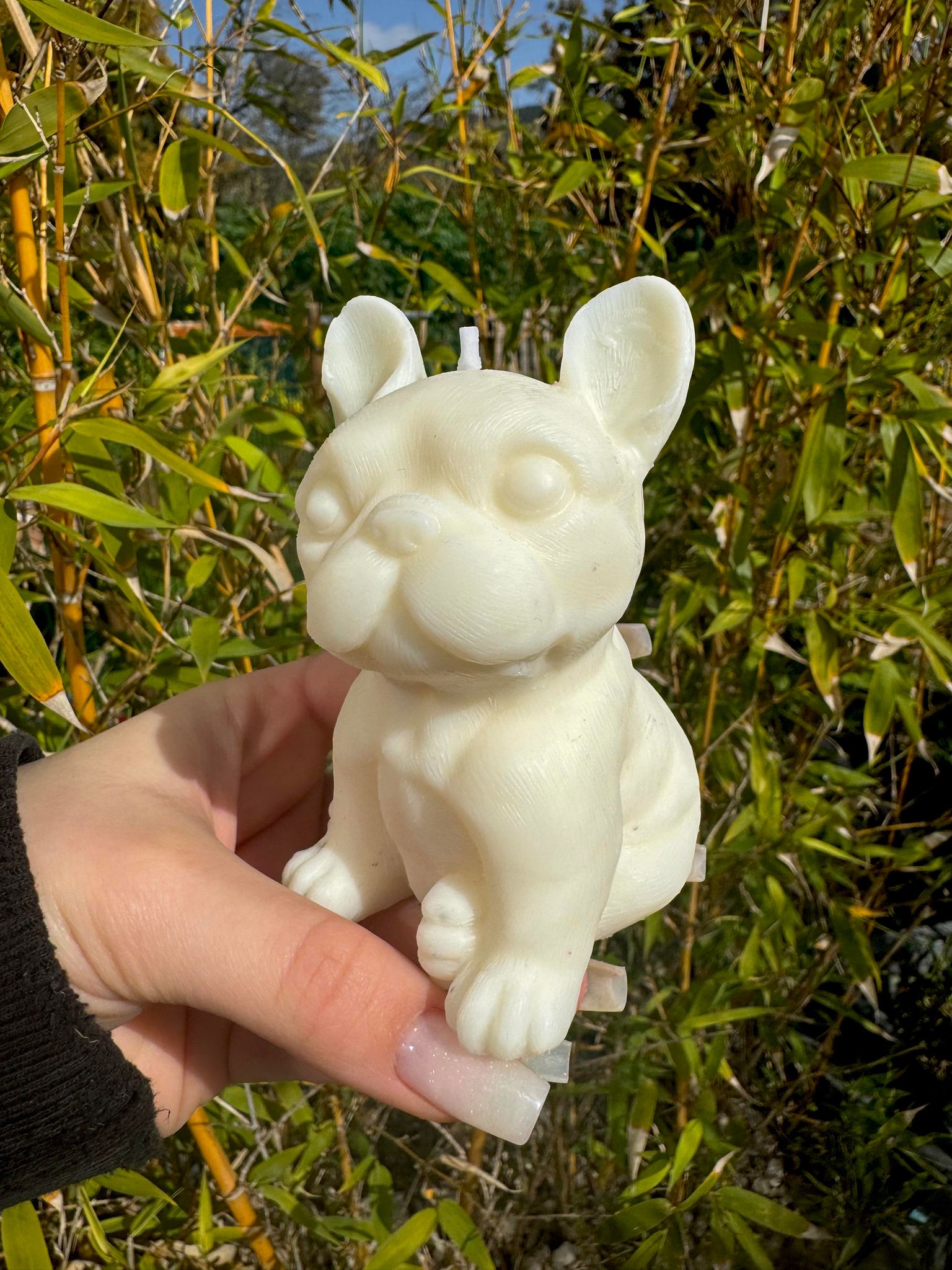 420538538_1050132249390351_226123963803940335_n