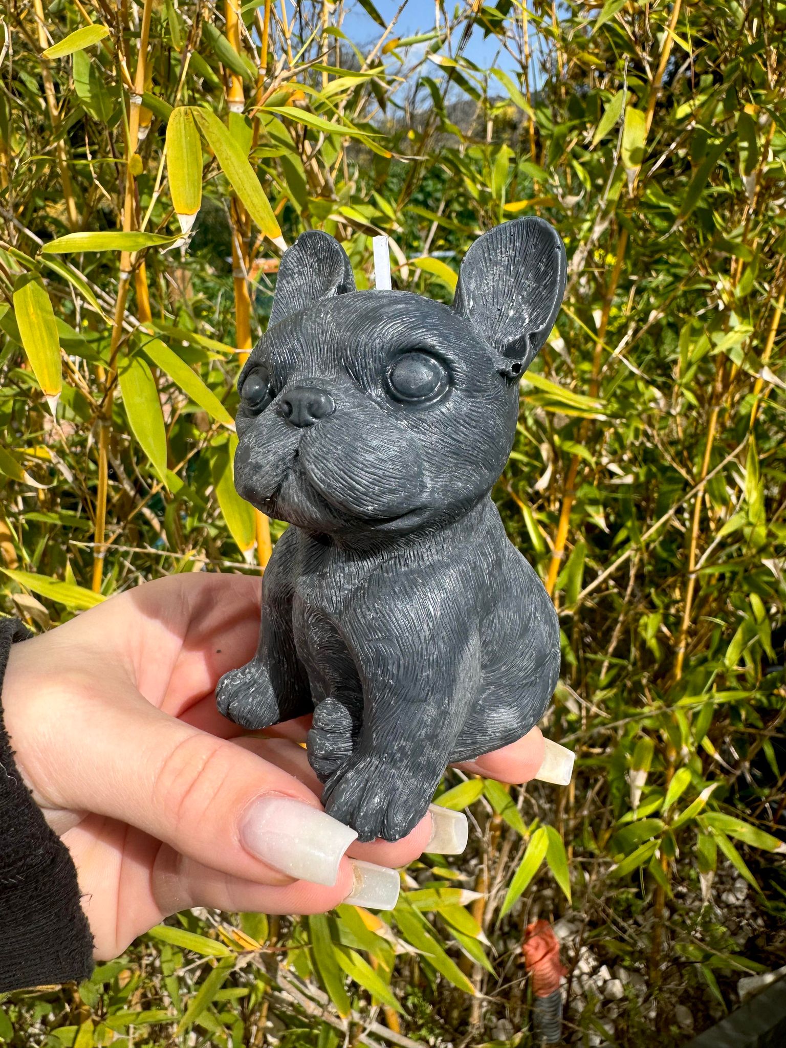 423472072_1566607790829608_6627145317128241372_n