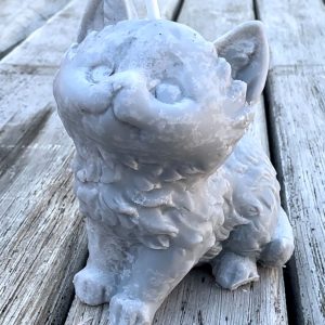 Bougie chat CUIR & BOIS 80g