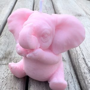 Bougie éléphant RHUBARBE 125g