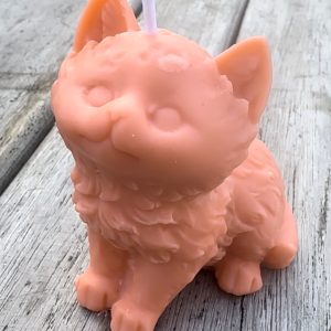 Bougie chat ABRICOT 80g