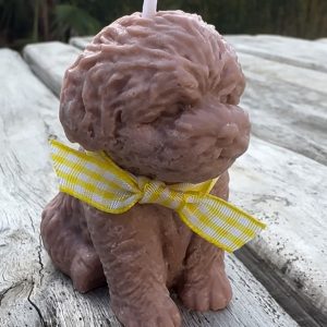 Bougie caniche toy MONOÏ 70g