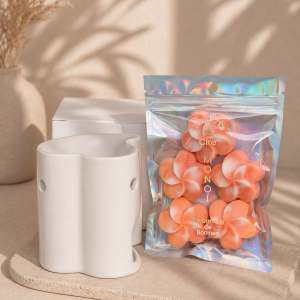 Coffret  UN BRULE PARFUM UN SACHET DE 5 FONDANTS DE CIRE MOMOÏ