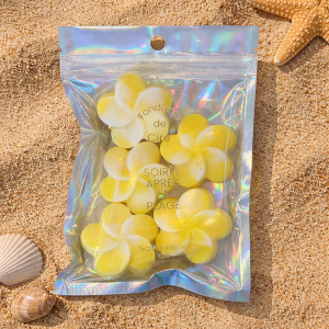 Sachet de 5 fondants de cire SOIREE APRES LA PLAGE