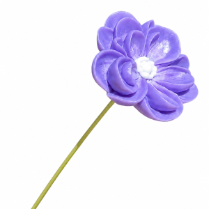 FLEUR DE CIRE VIOLETTE
