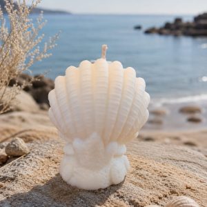 bougie beachbreack coquillage