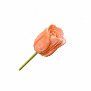 Fleur de cire FRUIT DE LA PASSION