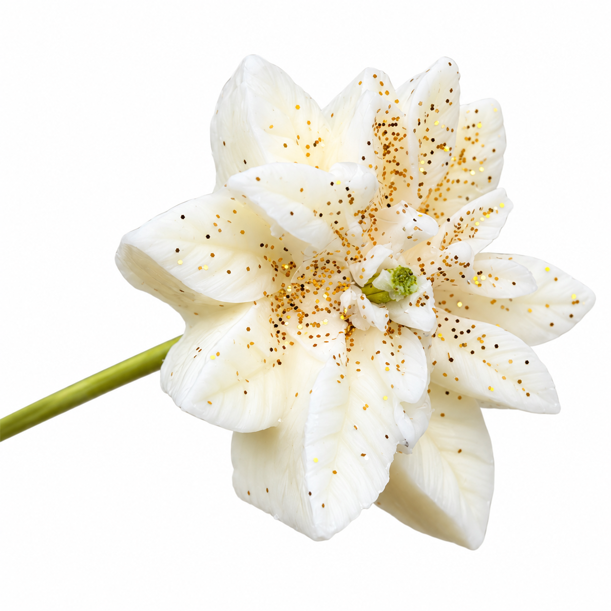 fleur de noel